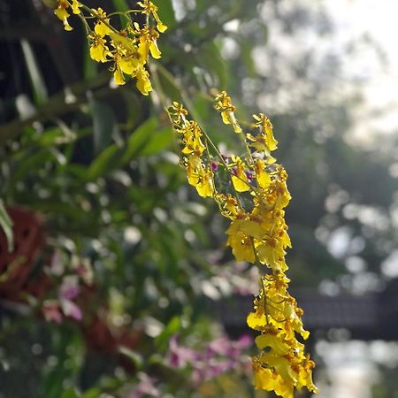 Thanh Thuy Ciudad Ho Chi Minh  Exterior foto